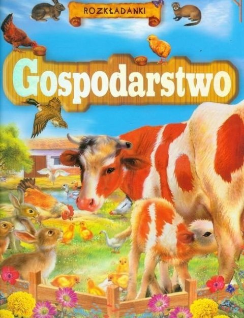 GOSPODARSTWO. ROZKŁADANKI POP-UP