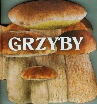 GRZYBY Praca zbiorowa