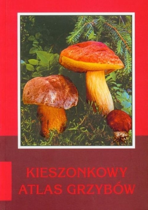 KIESZONKOWY ATLAS GRZYBÓW Josef Sirek
