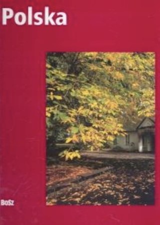 POLSKA Olgierd Budrewicz (NOWA/FOLIA)