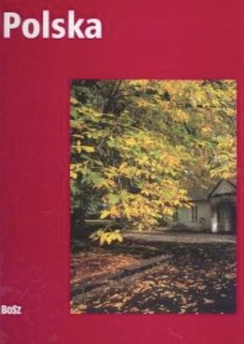 POLSKA Olgierd Budrewicz (NOWA/FOLIA)