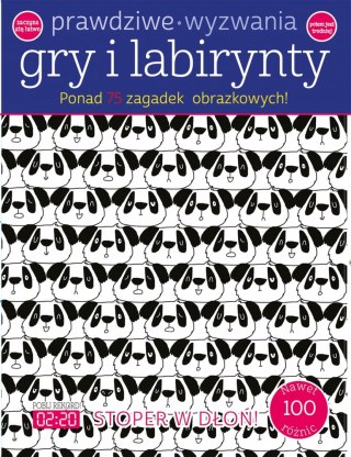 PRAWDZIWE WYZWANIA: GRY I LABIRYNTY