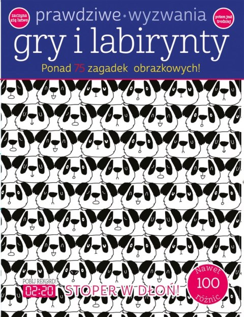 PRAWDZIWE WYZWANIA: GRY I LABIRYNTY