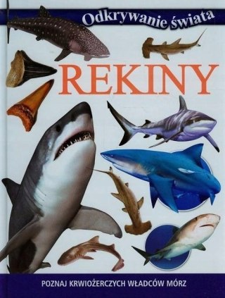 REKINY. ODKRYWANIE ŚWIATA