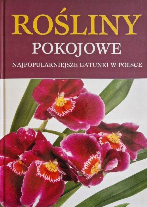 ROŚLINY POKOJOWE NAJPOPULARNIEJSZE GATUNKI W POLSCE