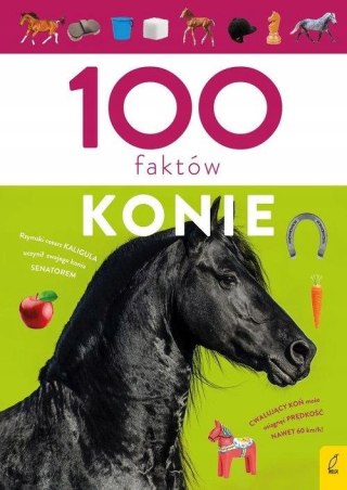 100 FAKTÓW KONIE