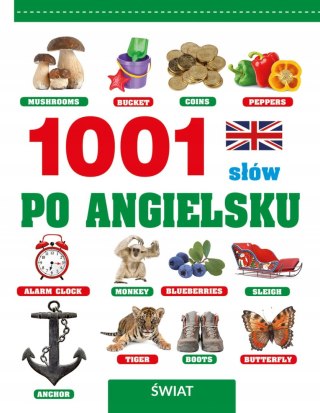 1001 SŁÓW PO ANGIELSKU. ŚWIAT Laura Aceti