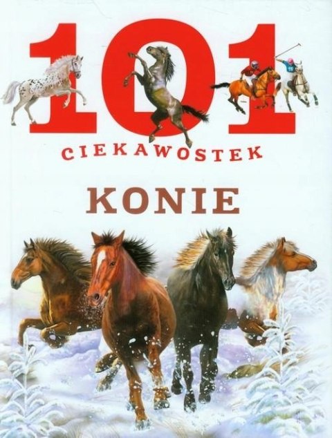 101 CIEKAWOSTEK. KONIE Anais Puygrenier