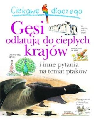 CIEKAWE DLACZEGO GĘSI ODLATUJĄ DO CIEPŁYCH KRAJÓW Andrew Charman