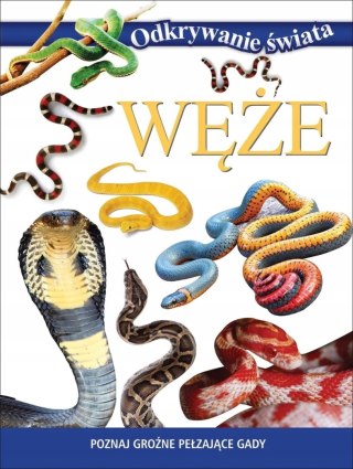 ODKRYWANIE ŚWIATA. WĘŻE