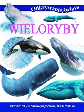 ODKRYWANIE ŚWIATA. WIELORYBY