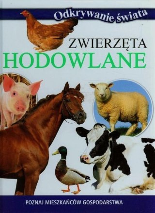 ODKRYWANIE ŚWIATA. ZWIERZĘTA HODOWLANE
