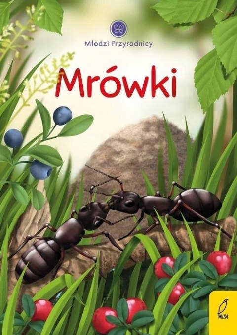 MŁODZI PRZYRODNICY. MRÓWKI Patrycja Zarawska
